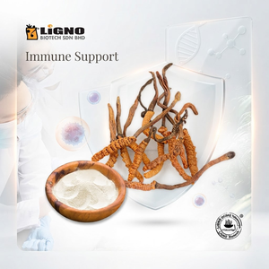 ผงเห็ดถั่งเช่าสีทอง LiGNO OCS02 |   อาหารเพื่อสุขภาพเกรดอาหาร |   วัตถุดิบพรีเมียมสำหรับอาหารเสริม |   โรงงานผลิตแบบ OEM/ODM - Product Image 1