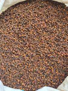 Clavos de Olor Secos de Sulawesi Tenggara, Indonesia, Paquete de 25 kg, Vida Útil de 2 Años, Marca Global Agro Komoditi - Para Compradores de la India - Product Image 2