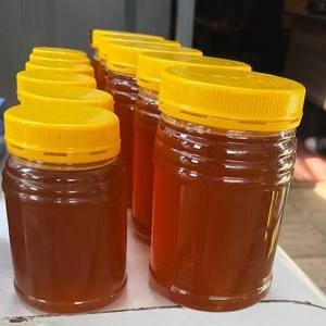 High Quality Organic Eucalyptus <b>Honey</b> Pure Raw for Food Beverage Rich Antioxidants Healthy Lifestyle Bulk Bottle India Export - Product Image 5