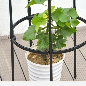 Obélisque en forme de rose, noir, robuste, tour de jardin en métal rond, treillis pour plantes - Product Image 4