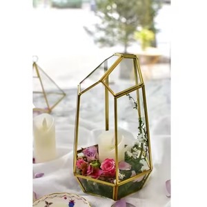 Terrario Moderno y Elegante de Vidrio y Metal para Exhibición de Plantas de Interior en Diwali, Decoración del Hogar - Product Image 4