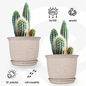 Maceta Cúbica de Bambú Natural con Drenaje - Venta al por Mayor de Macetas en India - Product Image 4