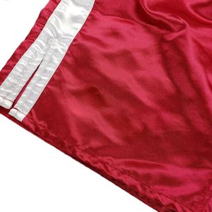 Shorts de Muay Thai al por Mayor, Estilo Casual, con Bordado y Estampado, Tela de Poliéster Transpirable, Logotipo Personalizado OEM, para MMA y Kick Boxing - Product Image 3
