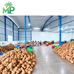 Meilleur prix pour la fibre de coco naturelle en gros - Meilleure vente de fibre de coco de Ben Tre, Vietnam, par Minh Phat Coconut - Product Image 6