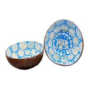 Bol en coquille de noix de coco écologique de haute qualité fait à la main au Vietnam pour les nouilles à salade de fruits et autres plats - Product Image 6