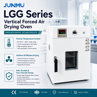 Oven Pengering Udara Paksa Vertikal Seri LGG 30L-1300L Oven Pengering Ledakan Listrik Laboratorium Industri dengan CE ISO
