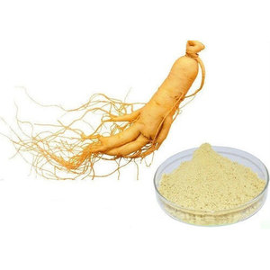 ผงโสมออร์แกนิกสกัดจากราก Panax ผงสมุนไพรสำหรับการดูแลสุขภาพและอาหารเสริม - Product Image 4