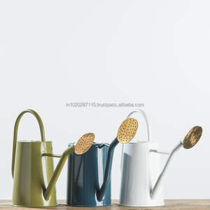 Bidon d'eau galvanisé au design vintage élégant pour les amateurs de jardin minimalistes et les gardiens de plantes élégants - Product Image 4