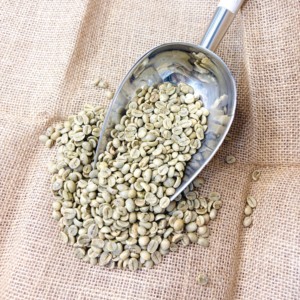 Café Robusta Verde de Baja Humedad S16 Origen Limpio Gia Lai Vietnam - Product Image 1