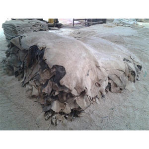 Pieles de vaca saladas secas a granel, calidad de exportación, pieles bovinas naturales sin procesar para la industria de curtido de cuero - Product Image 1