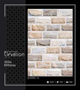 Azulejo de Porcelana de Alta Profundidad para Paredes Urbanas, 300x600mm, 30x60cm, 12x24, Acabado Mate, Texturizado, Cerámico, Decorativo para Interiores - Product Image 5