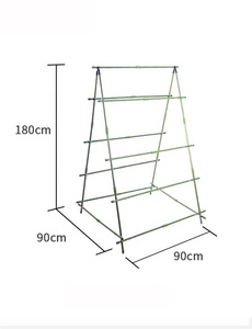 โครงเหล็กทรงเอสำหรับปลูกสควอชและแตงกวา - Product Image 2