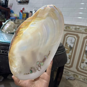 ถาดเปลือกหอยมุกธรรมชาติขนาด 22 ซม. ขัดเงาอย่างดี จานใส่ไข่ปลาคาเวียร์ งานฝีมือสุดหรู ของขวัญสุดพิเศษ ขายส่ง ราคาพิเศษ - Product Image 1