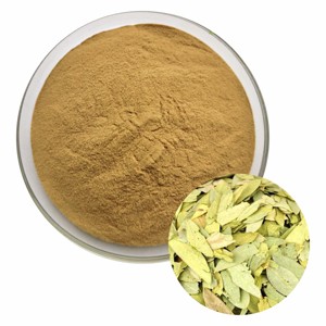 Suministro al por Mayor OEM ODM, Extracto de Hoja de Senna 100% Puro 10:1, Polvo de Cassia Angustifolia Molido Fino de Grado Alimenticio Natural - Product Image 4