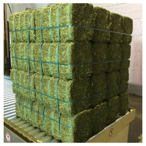 Foin d'alfalfa pour les acheteurs internationaux, balles de foin de qualité supérieure pour l'alimentation du bétail et les marchés agricoles. - Product Image 5