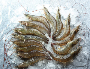 กุ้งแวนนาไมเกรดพรีเมียม แช่แข็ง ไม่มีหัว ปอกเปลือก อบสุกในกล่อง จากเวียดนาม SASUWO ได้รับการรับรองฮาลาล ราคาดีที่สุด ปี 2023 - Product Image 1