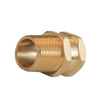 Adaptateur de jardin en laiton, filetage femelle GHT 3/4 pouce vers filetage mâle NPT 3/4 pouce