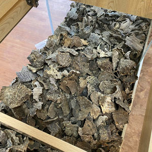 Vente en gros de copeaux d'agarwood naturel du Vietnam, bois d'oud, parfum intense - Product Image 3