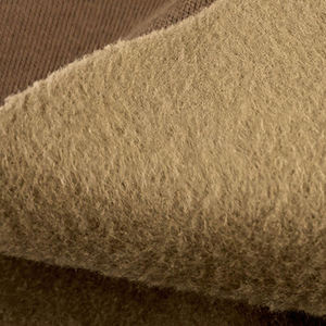 Nouveauté 2024 - Prix bas - Tissu polaire léger résistant à l'abrasion 100% polyester pour manteaux - Saison d'hiver - Product Image 4