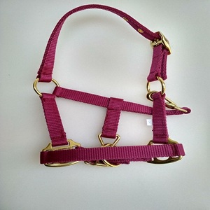 Harnais miniature en nylon pour cheval avec ferrures en laiton pour l'équitation, l'écurie et l'entraînement, fabriqué à Kanpur, Inde - Product Image 4