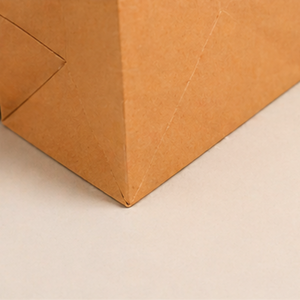 Bolsas de Regalo Premium de Papel Kraft Marrón con Asas Negras – Bolsas de Compras con Logotipo Personalizado para Comercios y Boutiques - Product Image 5