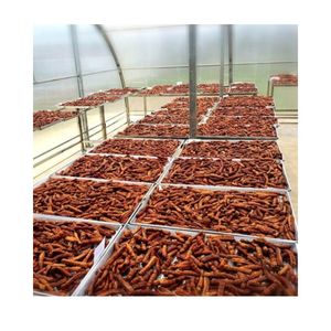 TOP SALE NATURAL TAMARIND BLOCK NO ADDITITIVES - 100% PURE FRESH TAMARIND PACKED IN REBRAND CARTON <b>BOX</b> FOR WHOLESALE GLOBALLY - Product Image 2