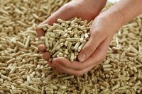 Bâtons de biomasse durables AZ FARMS 8MM, 2% de cendres, 4500J de calories, densité 850, pour chaudières industrielles, fours et centrales électriques