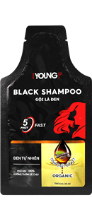 Shampooing Couvrant Instantanément les Cheveux Gris – Teinture Naturelle Bio à Base de Plantes, Coloration Permanente Sans Ammoniaque, Application Rapide et Facile - Product Image 2