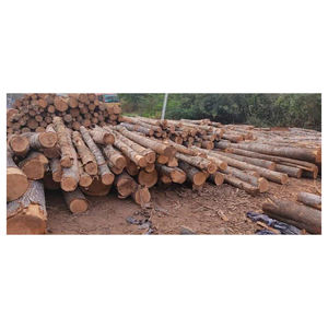Bûches de bois de chêne naturelles, bois dur rond pour scierie, placage, meubles et construction, export en vrac dans le monde entier - Product Image 1