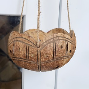 Pot de plante en coquille de noix de coco, prix le plus bas, pour extérieur et intérieur, vente flash, pots naturels - Product Image 5