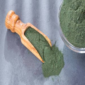 Espirulina India Fresca Premium en Polvo, Alga Natural, Superalimento Verde, Ingrediente para la Nueva Temporada, Suministro al por Mayor e Internacional - Product Image 6