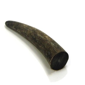High Quality Customized Size Raw Buffalo Horn Tip <b>Polished</b> <b>Black</b> Agate Color Religious Holiday Decorative Natural Craft - Product Image 4