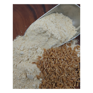 Blé dur de qualité supérieure en gros, vente en vrac, qualité alimentaire, stock disponible, meilleure qualité, exportation - Product Image 6