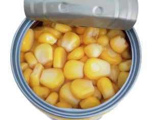 Maïs sucré en grains entiers en conserve de qualité supérieure, en saumure, prêt à consommer, vente en gros, OEM, marque privée, prix d'usine, fournisseur - Ms. Grace - Product Image 2
