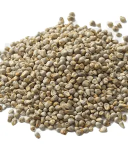 Best quality Indian green millet for animal feed available from India