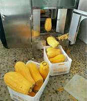 Industriële Hoge Capaciteit 1-1.5 Ton Meloen Fruit Groente Pompoen Peeling Machine Pompoen Dunschiller Machine