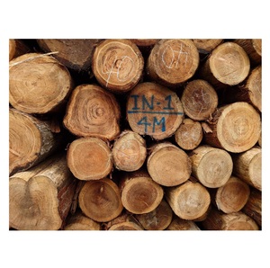 Produit de luxe hautement recommandé, ensembles de bûches rondes en bois de grande taille avec logo personnalisé pour usage commercial - Product Image 1