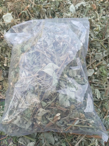 Fournisseur de feuilles d'Urena Lobata séchées du Vietnam, feuilles de Caesarweed séchées naturelles coupées de haute qualité ANGLE - Product Image 2