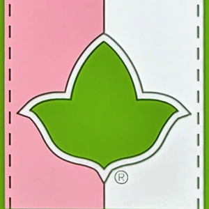 Double Stripe Ivy Luggage Tag Pink Green & White PVC Travel Bag Tag with Ivy Leaf ID Address Card <b>Holder</b> Suitcase Travel Accesso - Product Image 5