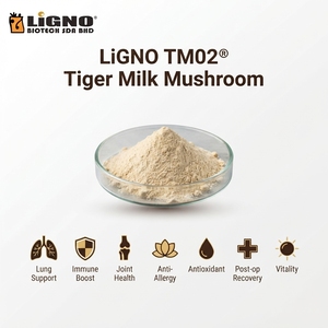 LiGNO TM02 Polvo de Sclerotium de Hongo Leche de Tigre (Lignosus Rhinocerus) 100% Puro, Secado en Frío, Grado Alimenticio, Cultivo Artificial - Product Image 2