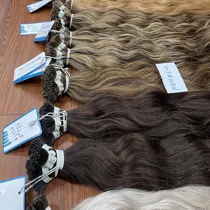 TOP VENDOR Extensions de cheveux naturels vietnamiens lisses en kératine I-tip, prix de gros usine, prêts à être expédiés - Product Image 1