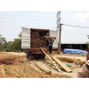 Rouleau de sangle en rotin naturel direct d'usine meubles modernes tissé matière première sangle de canne en rotin blanchi artisanat en osier - Product Image 2