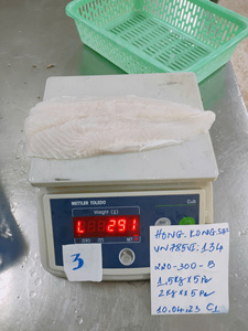 VH Food Pangasius IQF Congelé du Vietnam, en morceaux, tailles personnalisées, qualité supérieure, faible teneur en glucides, avec glaçage personnalisé, emballage en carton de 10 kg, avec peau - Product Image 2