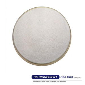 Polvo de Jugo de Sandía Premium de Alta Calidad, Halal, OEM, B2B, Mejor Proveedor Garantizado, Bebida Refrescante e Hidratante - Product Image 3