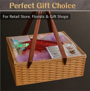 Caja de regalo de tubo de orquídea para el hogar, elegante conjunto de regalo floral de plástico, hecho en Taiwán, minoristas, floristas, decoración del hogar - Product Image 6