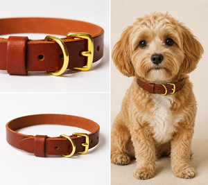 Collar de Cuero Urban Luxe para Perros, para Colecciones de Moda Moderna para Mascotas de Divine International - Product Image 4