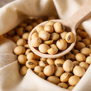 PREMIUM <b>SOYBEANS</b> | VIETNAM ORIGIN | EXPORT GRADE/ MS. ALINA - Product Image 4