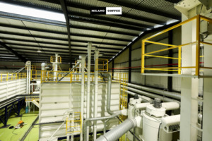 กาแฟอาราบิก้าบดคุณภาพสูง รสซินนามอน รับผลิตแบบ OEM แบรนด์ส่วนตัว ขายส่งจากเวียดนาม - Product Image 5