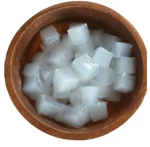Nata de coco-高品质椰子果冻-糖浆/生椰子果冻-越南