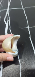 Natural Handmade Luxury Shell Napkin <b>Ring</b> Seashell Napkin Holder 10ml <b>Silver</b> Plated for Wedding Restaurant Decor - Product Image 4